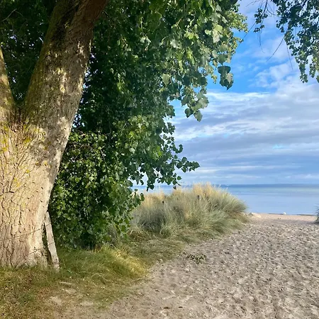 Vakantiehuis Suedstrand Haus 04